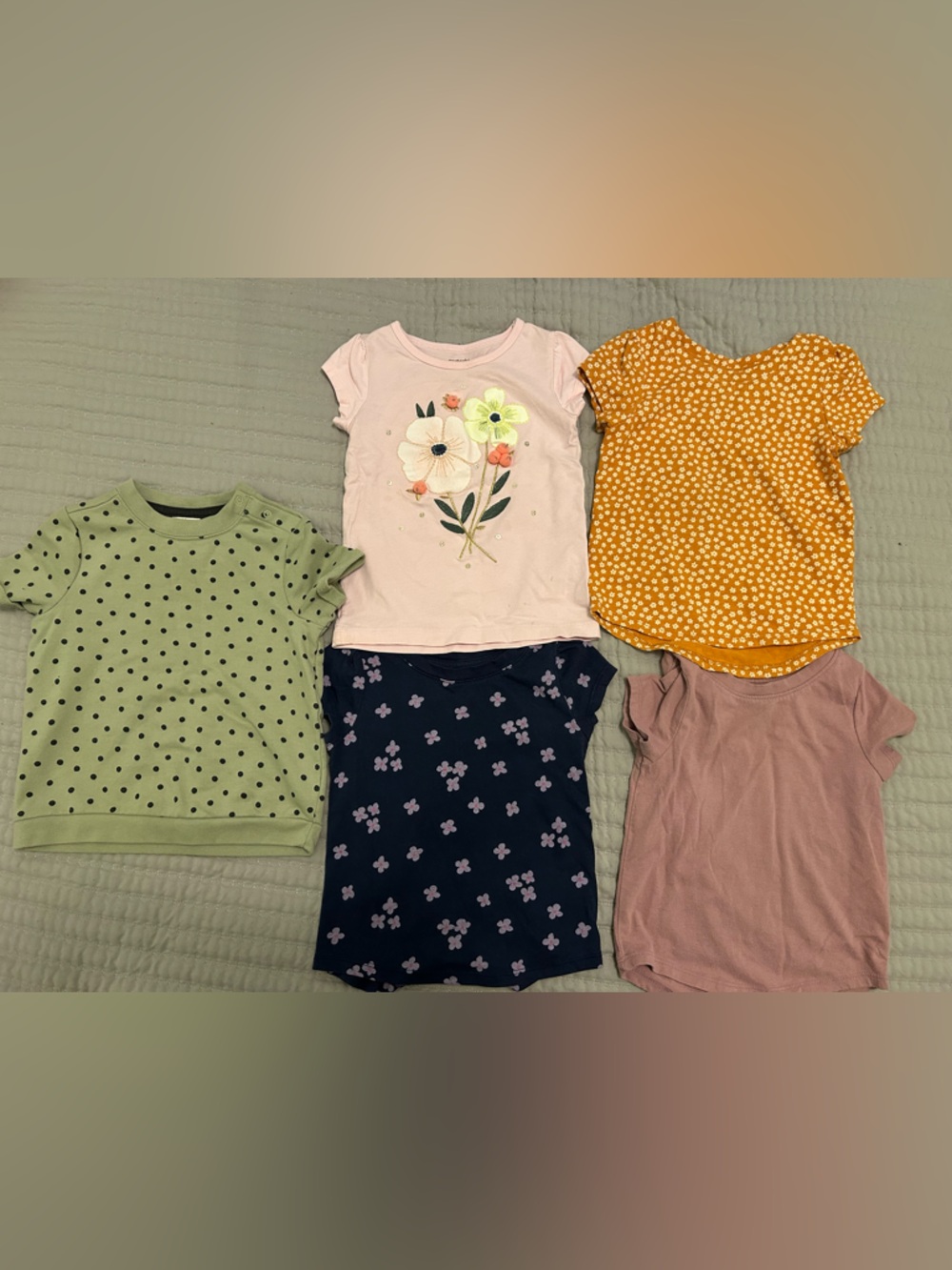Toddler Girl T-shirt Bundle